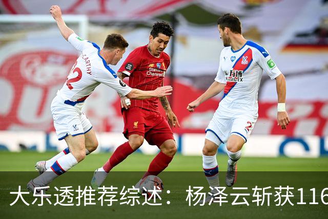 大乐透推荐综述：杨泽云斩获1166万，四位专家分享93万喜讯