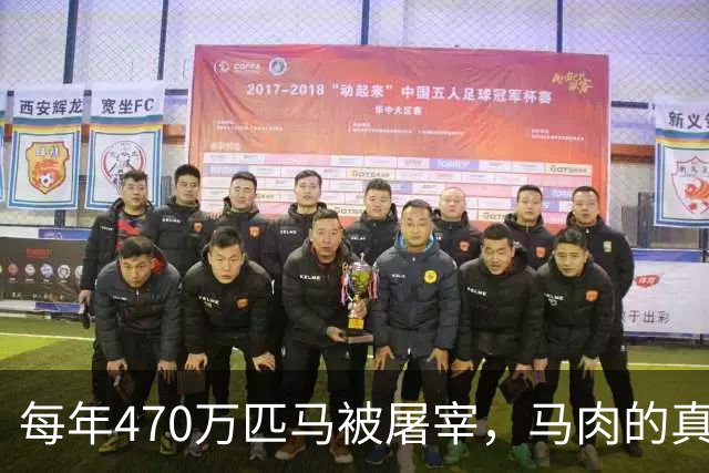 每年470万匹马被屠宰，马肉的真正去向何在？